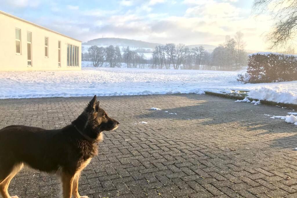 Ferienhaus Talblick Alpenrod ภายนอก รูปภาพ